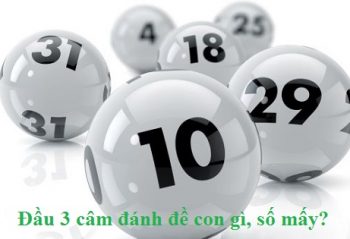 Đầu 3 câm đánh đề con gì, số mấy?